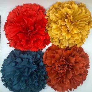 Flores de la Alegría Clavel grande